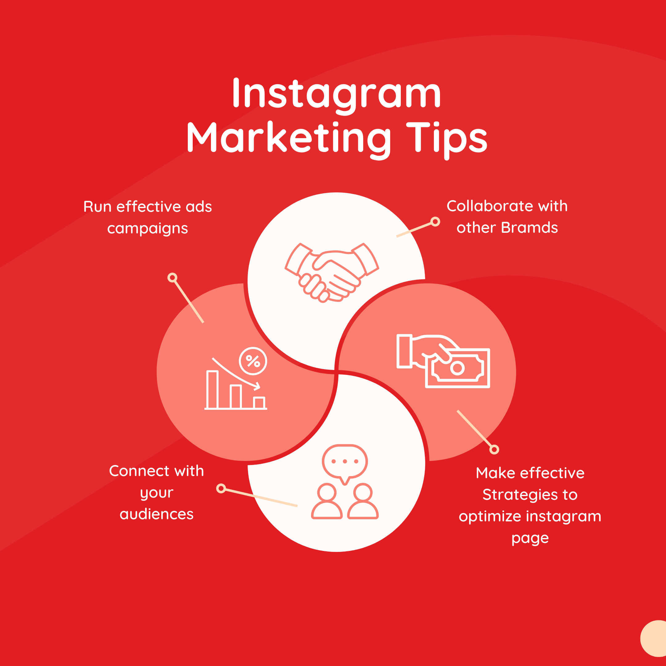 Instagram Marketing Services - Digital Bighit